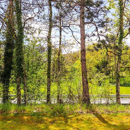 Hoteleco Sud Agen Autoroute Le Passage  Zewnętrze zdjęcie